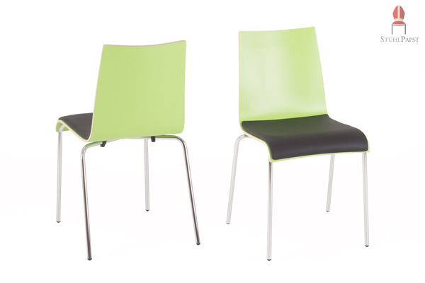 Verschiedene Farbmöglichkeiten der Holzschale