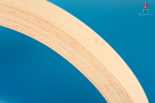 Die Schichten des Buchenholzes