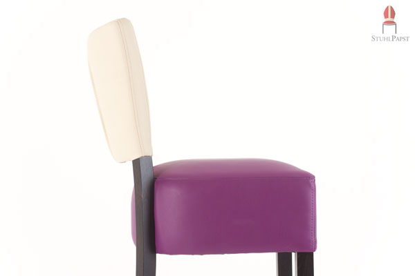 Auch die Rückenlehne ist mit Kunstleder bezogen